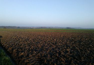 Tocht Stappen Dalhem - dalhem-péri-mortroux-campagne richelle-dalhem - Photo