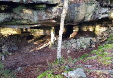 Randonnée Marche Fontainebleau - carrier geocaching  - Photo