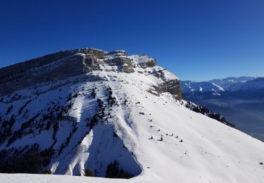 Excursión Otra actividad Plateau-des-Petites-Roches - Roc d'Arguille  - Photo