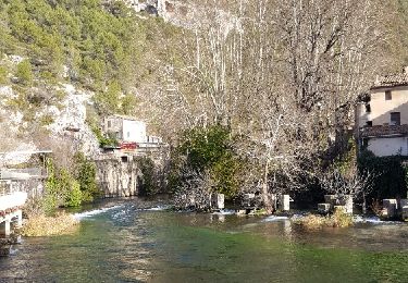 Trail Walking Saumane-de-Vaucluse - Fontaine de Vaucluse  Canal - Photo