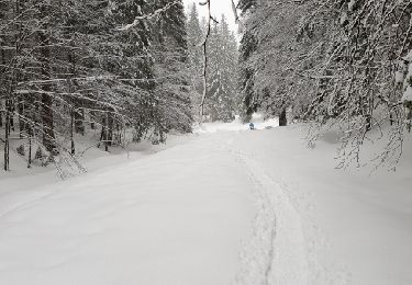 Tour Schneeschuhwandern Bois-d'Amont - Chalet Gaillard Bois d'Amont  - Photo