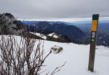 Tocht Sneeuwschoenen Autrans-Méaudre en Vercors - Le Signal de Nave - Photo