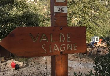 Trail Walking Le Tignet - Val de Siagne - Photo