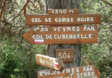 Tour Wandern Veynes - R52   Le col de Cuberselle - Photo