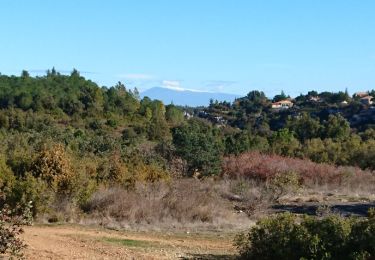 Trail Walking Rochefort-du-Gard - Ballade autour des Eynavay et des falaises de Rochefort - Photo