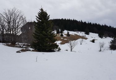 Tour Schneeschuhwandern Autrans-Méaudre en Vercors - Boucle Gève, Le Bec de l 'Orient, Le Pas de la Clé, depuis La Sure  - Photo