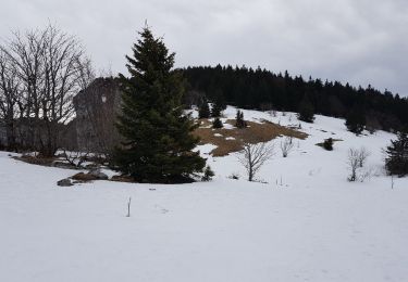 Tocht Sneeuwschoenen Autrans-Méaudre en Vercors - Boucle Gève, Le Bec de l 'Orient, Le Pas de la Clé, depuis La Sure  - Photo