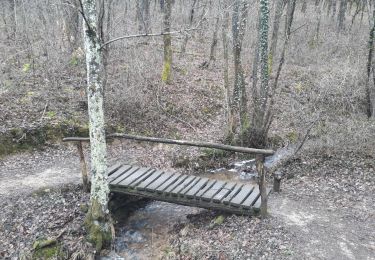 Trail Walking Cheminas - Lac des Meinettes - Photo