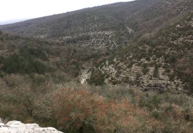 Percorso Marcia Lussas - canyon de la Louyre  Ardèche 07 Janvier 2018  - Photo