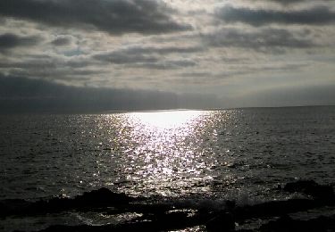 Tocht Stappen Le Pradet - les bonnettes la garonne - Photo