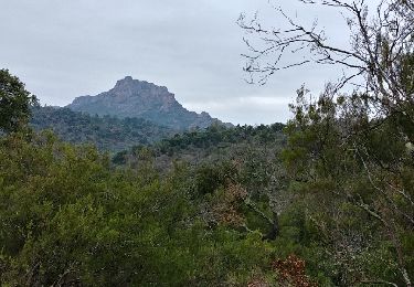 Trail Walking Roquebrune-sur-Argens - sentier au fil de l eau - Photo