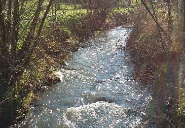 Trail Walking Court-Saint-Étienne - Court-Saint-Etienne 30 01 2018 Nathalie Demain - Photo