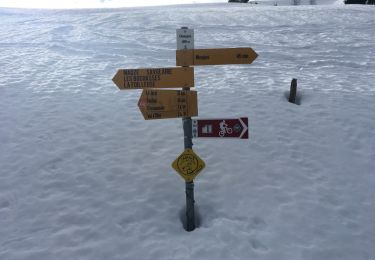 Tocht Sneeuwschoenen Troistorrents - Foilleuse - Madzé - Savolaire - Champarin - Morgins - raq  - Photo