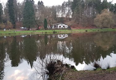 Randonnée Marche Hombourg - schlossbergtour homburg - Photo