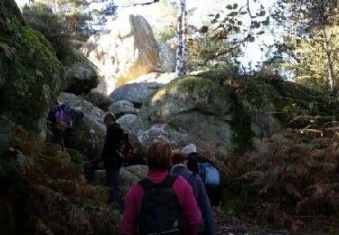 Trail Walking Fontainebleau - Rocher Canon variante - Photo