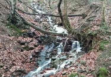 Randonnée Marche Baelen - Entre la hello et  la Soor - Photo