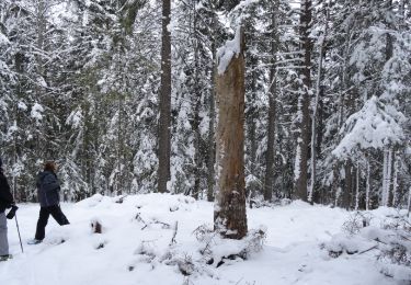 Randonnée Raquettes à neige Corrençon-en-Vercors - corrençon Combe du souillet (Clos de la Balme ) - Photo