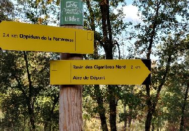 Randonnée Autre activité Bagnols-en-Forêt - Tour de bayonne - Photo