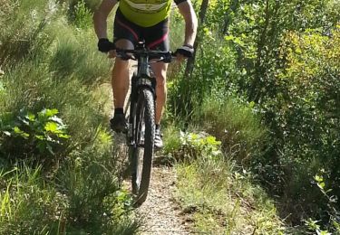 Trail Mountain bike Veynes - VTT06 - Col de Seille - Photo