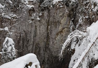 Randonnée Raquettes à neige Corrençon-en-Vercors - Corrençon - Baraque de Malaterre - Circuits 6+2+6 - Photo
