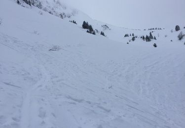 Randonnée Raquettes à neige Bellevaux - Rando ski  Combe suspendue et col du  Graydon  - Photo