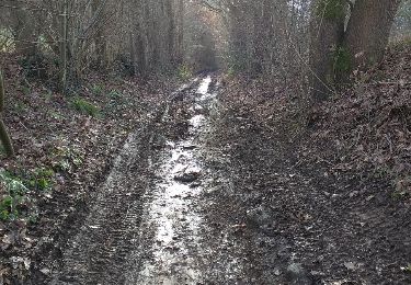 Randonnée Marche Grez-Doiceau - Perrot - Photo