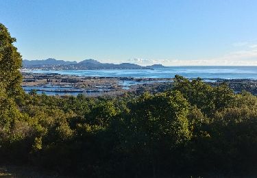 Tocht Stappen Fréjus - le reydissar - Photo