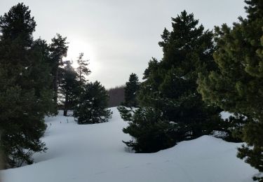 Tocht Sneeuwschoenen Châtillon-en-Diois - 2018-02-13 Vallon de  Combau  - Photo