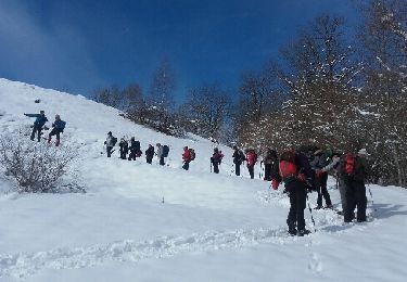 Trail Snowshoes Arrens-Marsous - arrens les granges de Berbeillet-fait - Photo