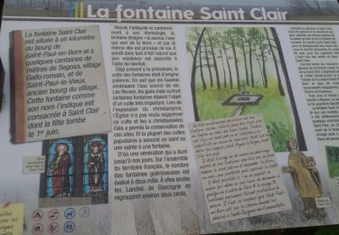 Tocht Stappen Saint-Paul-en-Born - saint Paul en born raccourcie cause chemins innondes - Photo