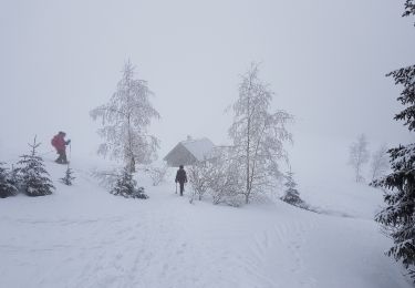Excursión Raquetas de nieve La Morte - Belvedere et Balcon de La Romanche - Photo