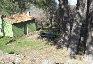 Tour Wandern Laroque-des-Albères - Laroque-des-Albères Puit a neige Casio del Guardia - Photo