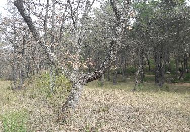 Tocht Stappen Belcodène - de belcodene a badarusse - Photo