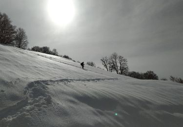 Tour Schneeschuhwandern Le Port - RQ-Hameau de Goutets - Photo