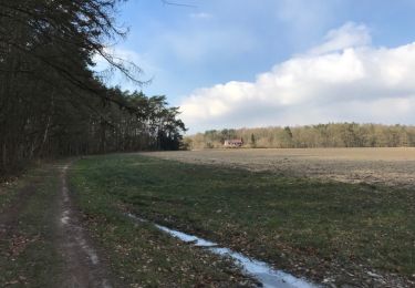 Trail Walking Oud-Heverlee - Dijle - Meerdaalbos 16 km - Photo
