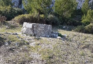 Trail Walking Marseille - De la Fontaine de Voire au plateau de l'Homme Mort - Photo