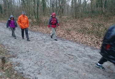 Trail Walking Larchant - 180303 EnCours - Photo