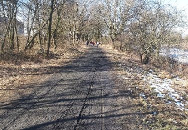 Tocht Noords wandelen Herve - Battice_04_03_2018 - Photo