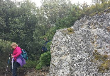 Randonnée Marche Murs - Le tour de berigoule  - Photo