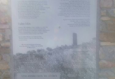 Excursión Senderismo Manosque - Vestiges de la tour du Mont d'Or. - Photo