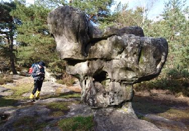 Trail Walking Fontainebleau - 180314 EnCours - Photo