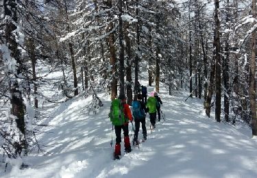 Tocht Sneeuwschoenen Arvieux - Queyras étape 2 - Photo