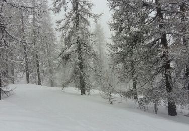 Tocht Sneeuwschoenen Molines-en-Queyras - Queyras étape 4 - Photo