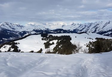 Tour Schneeschuhwandern Manigod - croix de colonban croix de fry - Photo