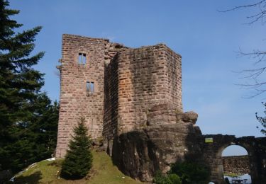 Percorso Marcia Barr - A-R Château de Birkenfels - Photo