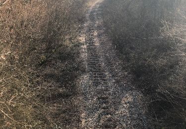 Trail Walking Villafans - sel et charbon  - Photo