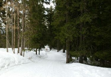 Trail Walking Combloux - COMBLOUX (Cuchet). - Photo