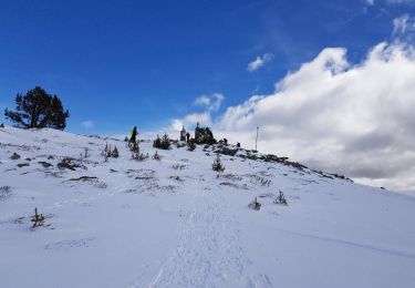 Trail Snowshoes Font-Romeu-Odeillo-Via - Font Romeu parking Mollera del Clos pic dels Moros - Photo