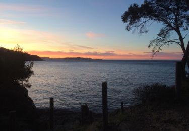 Tocht Stappen Hyères - D'arbousier - Photo