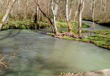 Randonnée Autre activité Bordères-sur-l'Échez - Esgoute-Plouyes - Photo